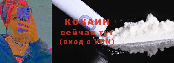 гашик Новодвинск