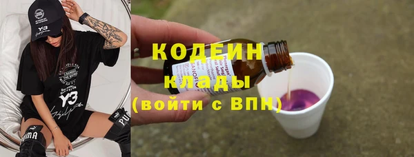 гашик Янаул