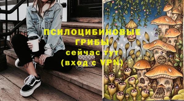 ПСИЛОЦИБИНОВЫЕ ГРИБЫ Инсар