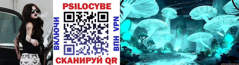 Псилоцибиновые грибы Psilocybe  закладка  Серафимович 